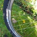 - Böttcher E-Friends, 46er Rahmen - Bild 6