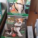 Konvolut Hunde Artikel ca.80 Teile nie benutzt  - Bild 12