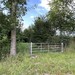 5.231qm Freizeitgrundstück in Dötlingen - Bild 4