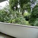 3 Zi. Whg. Neustadt von Privat an Privat - Bild 2