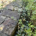 Sandsteine und weitere Steine zu verkaufen  - Bild 2