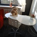 Schreibtisch weiss mit Stuhl  - Bild 1