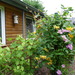 Erfahrene Gartenhilfe Grambke gesucht - Bild 1