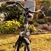 - Normales - Damenrad, 28 Zoll, wenig genutzt, Top - Bild 1