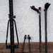 Dachträger für 1 Rad 40 Euro  - Bild 1