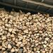Feuerholz Brennholz Kaminholz - Bild 1