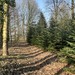 5.231qm Freizeitgrundstück in Dötlingen - Bild 1