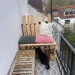 Mitbewohnerin/2er WG/94qm/mit Katzen/600 warm - Bild 8