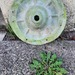 Betonform Kapitäle - Bild 6