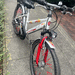 Pegasus Kinderfahrrad 24