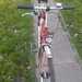 Hercules Damen Fahrrad - Bild 4