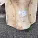 Betonform Kapitäle - Bild 1