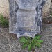 Betonform Kapitäle - Bild 2