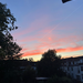 WG Zimmer 2er WG Bremen-Walle - Bild 8
