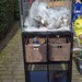 schönes Aquarium komplett abzugeben - Bild 1