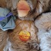 Wer sammelt echt Steiff - Bild 3