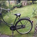 Holland Rad - Bild 1