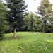5.231qm Freizeitgrundstück in Dötlingen - Bild 12