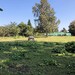 Traumhaftes Grundstück in Syke-Gödestorf - Bild 1