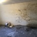 Kellersanierung/Feuchtigkeitsschaden - Bild 1