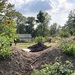 Garten sucht Gärtnerinnen und Gärtner - Bild 1